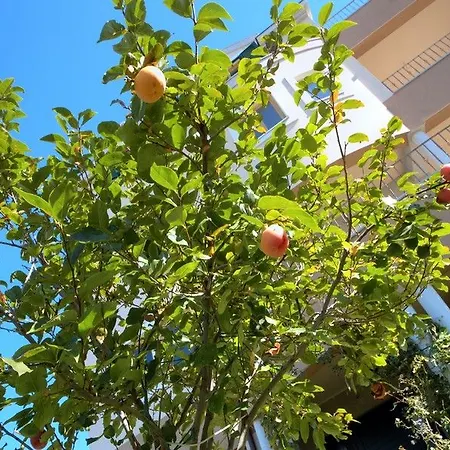 Nyaraló Villa Split *
